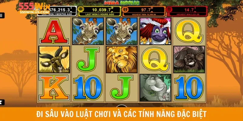 Đi sâu vào luật chơi và các tính năng đặc biệt