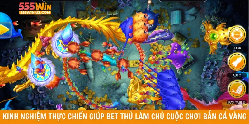 Kinh nghiệm thực chiến giúp bet thủ làm chủ cuộc chơi bắn cá vàng
