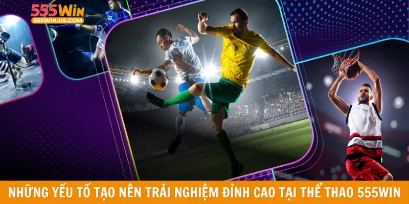 Những yếu tố tạo nên trải nghiệm đỉnh cao tại thể thao 555win